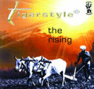 the rising by tigerstyle